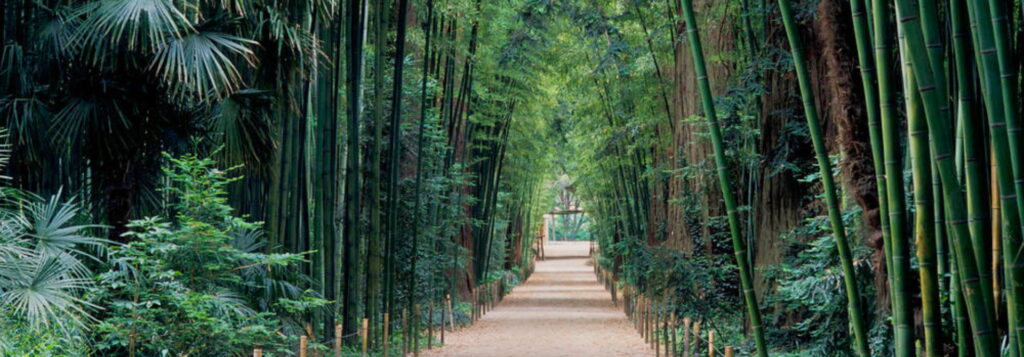 les visites a faire dans le gard